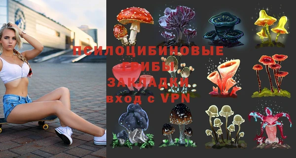 дживик Беломорск