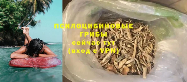 apvp Белокуриха